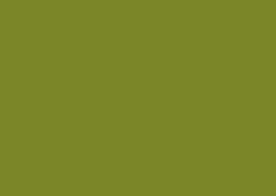 Logoanimation Wentzel Tiny Houses